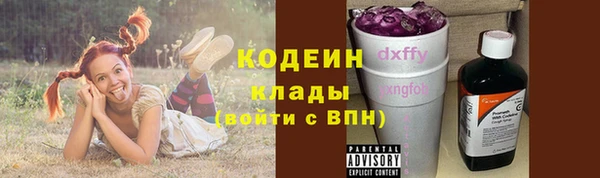 шишки Краснотурьинск