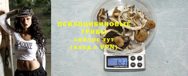 шишки Кулебаки