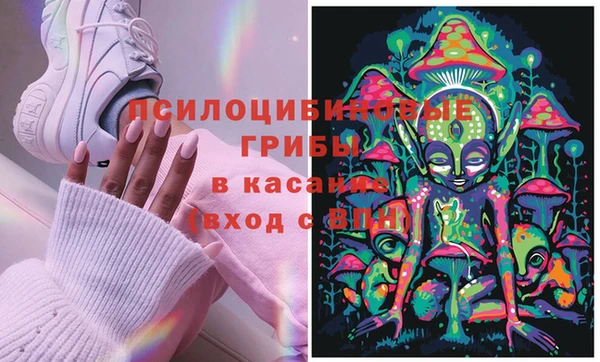 шишки Кулебаки