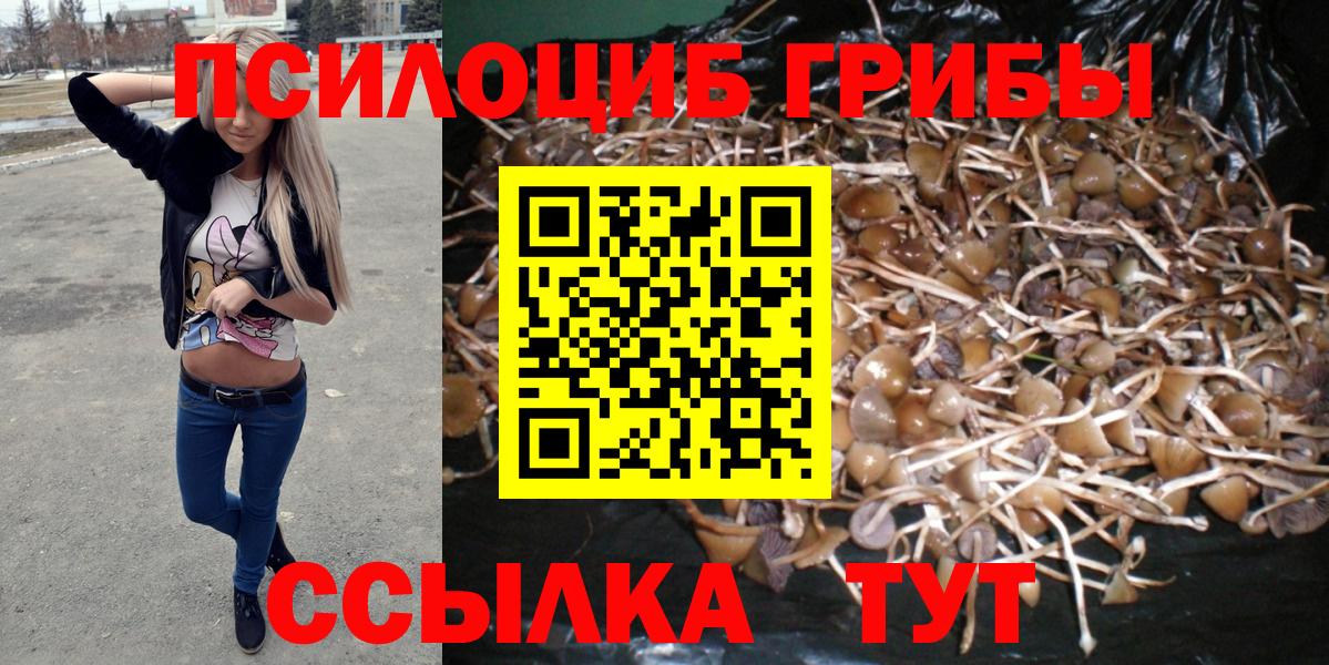 Псилоцибиновые грибы мухоморы  Галлюциногенные грибы Psilocybe  Сунжа 