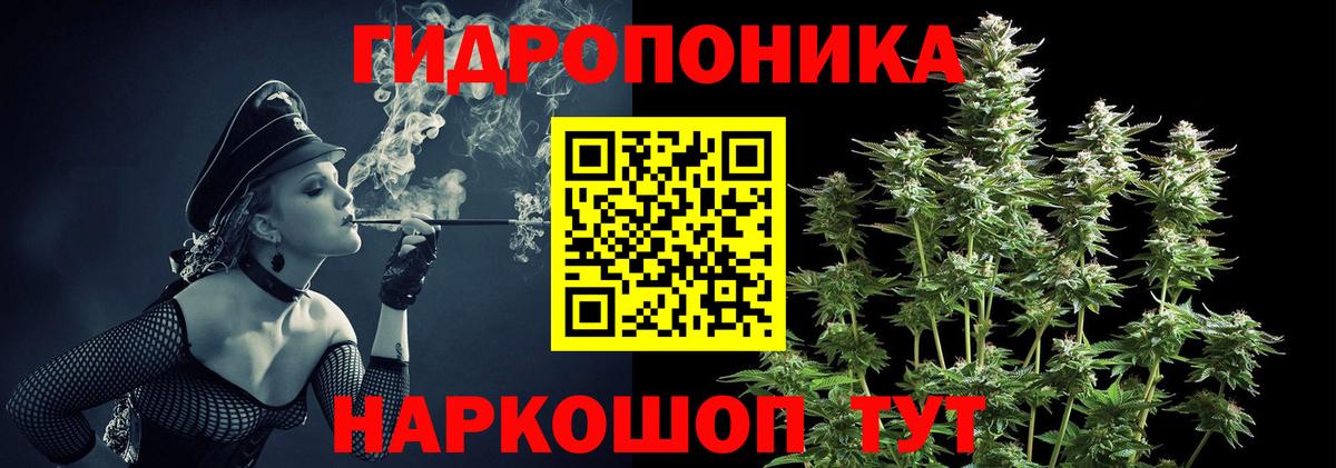Сунжа  Бошки Шишки индика  Вход с VPN  МАРИХУАНА Ganja  Бошки Шишки конопля 